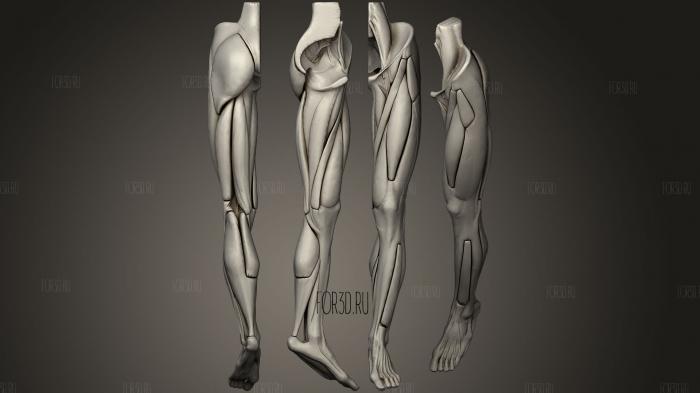 Human Leg stl model for CNC